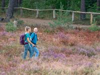 Wandern in der Senne © Teutoburger Wald Tourismus / Patrick Gawandtka